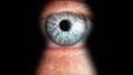 Let’s Be Clear, say Legal Experts, NSA Surveillance Dragnets Are ’Criminal’