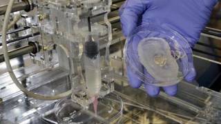 Researchers make ’bionic ear’ with 3-D printer