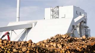 Global warming “can be reversed", scientists claim