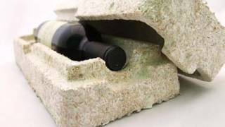 Growing a Replacement for Styrofoam