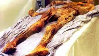 ’Curse of the Iceman’ Linked to Scientist’s Death