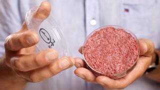 Google Burger: Scientists cook world’s first lab-grown, in-vitro hamburger
