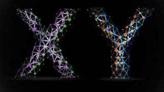 The when and where of Y: Research on Y chromosomes uncovers new clues about human ancestry