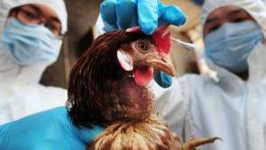 Genetic switch to guard against escaped ’superviruses’