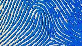 The FBI and the Myth of the Fingerprint