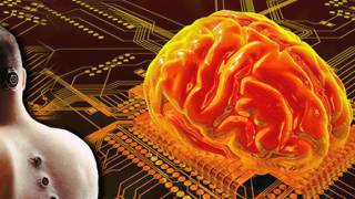 DARPA Issues Request For Information to Create a Computer Brain