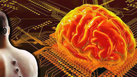 DARPA Issues Request For Information to Create a Computer Brain