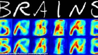 Software uses brain scans to identify exactly what people are looking at
