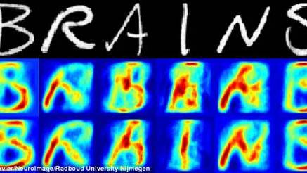 Software uses brain scans to identify exactly what people are looking at