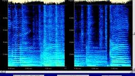 I hear dead people! "Voice-cloning tech gives new life to silenced greats"