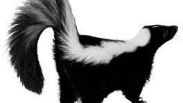 This Man’s Smell Hallucinations Can Predict the Weather