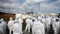 Fukushima/TEPCO/Kan IMMUNE from Prosecution