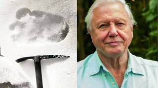 Attenborough: "I believe the Abominable Snowman may be real"