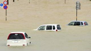 Typhoon hits Japan, Fukushima operator releases radiation water into sea