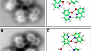 The Very First Image of a Hydrogen Bond