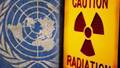 UN Nuclear Agency to Monitor Fukushima Reactor