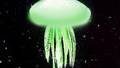 Space-Born Jellyfish Struggle on Earth