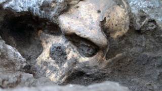 Ancient skull challenges understanding of human evolution