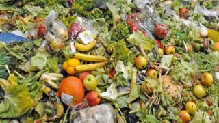 Markets are solving the food waste problem