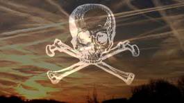 Neurologist Warns of Exploding Neurodegenerative Disease Due to Chemtrail Toxins