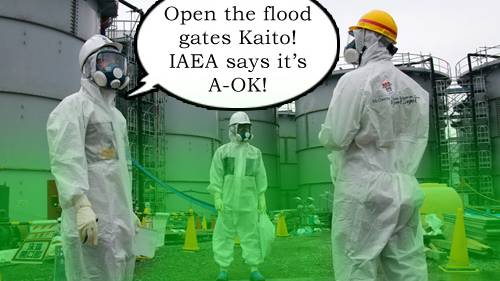 Nuclear experts suggest Fukushima consider ‘controlled discharge’ of toxic water into ocean