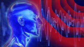 Scientists Can Affect Brain Responses Using Ultrasound Waves