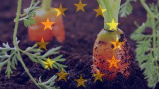 EU To Ban Heirloom Seeds and Criminalize Unregistered Gardens