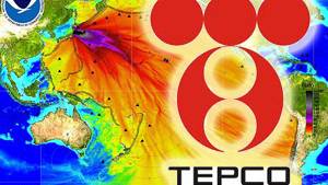 TEPCO demands Fukushima workers return salary money