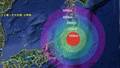 Radiation levels at Fukushima plant increases to 800% of government standard
