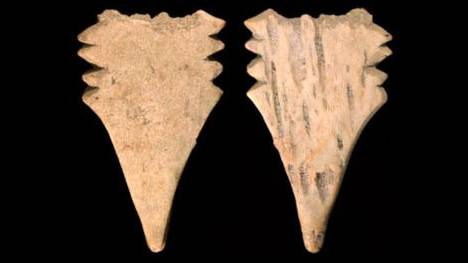 This intricately crafted harpoon tip is 35,000 years old