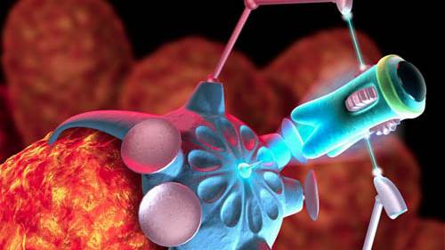 Why robot sex could be the future of life on earth