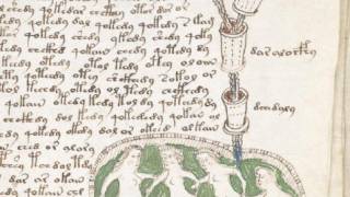 Have Botanists Unlocked the Secret of the Mysterious Voynich Manuscript?