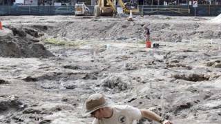 One of the most significant prehistoric sites in the United States found in Miami