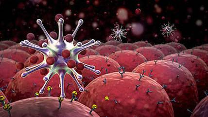 Scientists Find That The Human Body Kills Spontaneous Cancers Daily