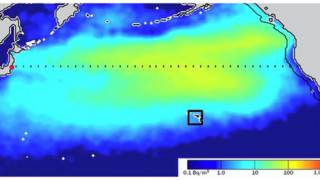 Confirmed: Fukushima Radiation Reaches West Coast of Canada