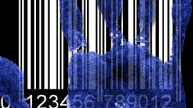 Swedes replace credit cards with hand swipe