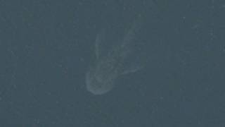 Apple’s Maps Satellite Image May Have Found the Loch Ness Monster?