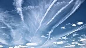 Swedish MP ordered chemtrail probe