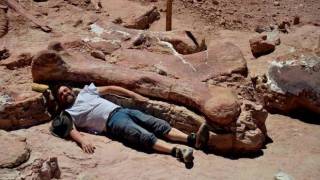 Mega-Dinosaur Unearthed in Argentina Was ’Taller Than a Seven-Storey Building’