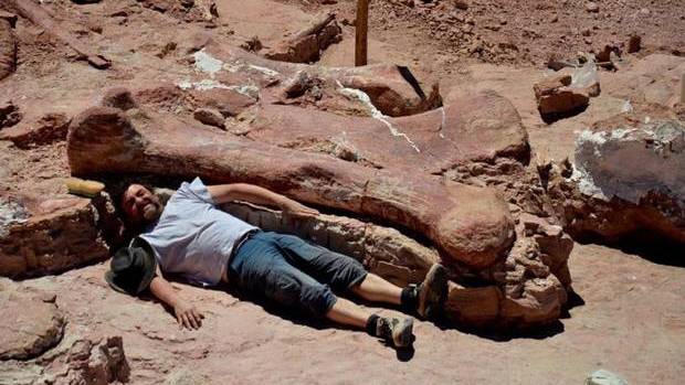 Mega-Dinosaur Unearthed in Argentina Was ’Taller Than a Seven-Storey Building’