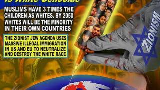 EU Multiculturalism is White Genocide - Graphic From David Dees