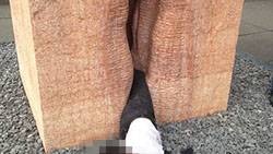 The Trappings of Modern Art - Guy Gets Stuck in Vulva