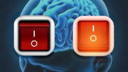 Consciousness on-off switch discovered deep in brain