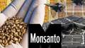 Monsanto’s GMO food and its dark connections to the “military-industrial complex”
