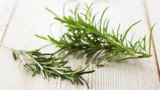 Rosemary Is For Remembrance - Science Confirms Wisdom of the Ancients