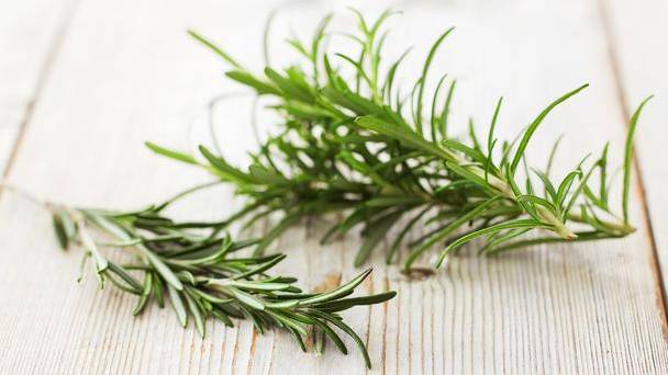 Rosemary Is For Remembrance - Science Confirms Wisdom of the Ancients