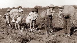 Why Does Hollywood Ignore White Slavery?