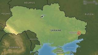 Malaysian airliner crashes in E. Ukraine near Russian border, over 280 people on board