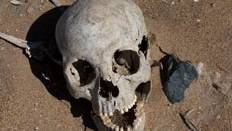 Archaeologists discover 8,000-year-old HUMAN BRAIN? Norway skull ’harbours fragments of grey matter’