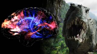 Prejudice is a Form of Common Sense - Hard-Wired Into the Human Brain, Says ASU Study